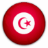 تونس تحت 17